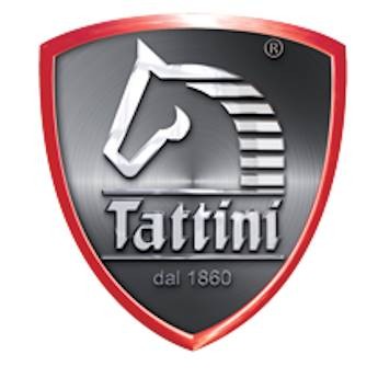 TATTINI